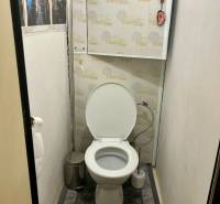 IMG-20250605-WA0005.jpg
