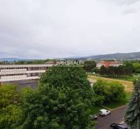 Výhled ze 3pokojového bytu v Prievidzi na zeleň a budovy.