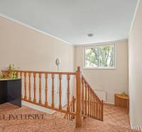 Interiér kanceláře se schodištěm, zábradlím, oknem a rostlinou na rohové skříňce.