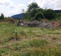 Pozemky - komerční v Trenčianských Bohuslavicích, s divokou vegetací a hromadami větví.