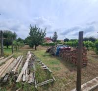 Zahrady v Moči s uskladněnými dřevy a cihlami, obklopené vinicemi a ovocnými stromy.
