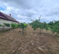 V Záhradách v Moči se nacházejí ovocné stromy a vinice s obytným domem.