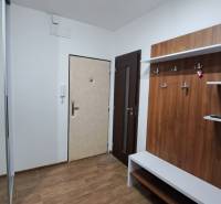 Vstupní hala v 2-pokojovém bytě s věšákem, zrcadlem a bezpečnostními dveřmi.