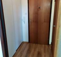 Vstupní hala s dveřmi a vestavěnou šatní skříní v 1-pokojovém bytě.