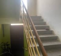 Schodiště v rodinném domě s koly a rostlinou na parapetu.
