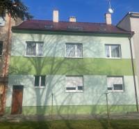 Rodinný dům na Kalinčiakově ulici v Piešťanech, zelená fasáda, stín stromu.