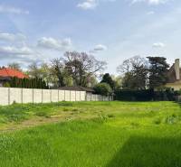 Zelený pozemek ve Sládkovičově vhodný pro bydlení, obklopený živými ploty a stromy.