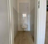 Toaleta se závěsným WC a obkladem v 3-pokojovém bytě, s dřevěnou podlahou.