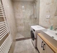 Koupelna s pračkou ve 2pokojovém bytě, s walk-in sprchou a umyvadlem.