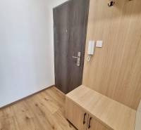 Vstupní chodba se vstupními dveřmi a dřevěným nábytkem v 2-pokojovém bytě.