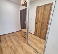 Vstupní hala v 2pokojovém bytě s dřevěnými podlahami a zrcadlovou skříní.