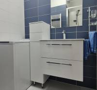 Koupelna v 2-pokojovém bytě se skříňkou, umyvadlem a zrcadlem na stěně.