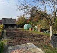 Zahrada u rodinného domu v Trstíně s ovocnými stromy a chodníkem.
