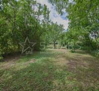 Zelená zahrada u rodinného domu v Častkovcích s bujnou vegetací a přírodní scenérií.