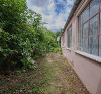 Boční strana rodinného domu v Častkovcích s keřovým porostem a velkými okny.