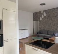 Kuchyně spojená s obývacím pokojem v 3-pokojovém bytě, podlaha s dřevěným dekorem, šedá sedačka.