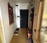 Chodba v 3-pokojovém bytě se vstupními dveřmi, kobercem na stěně a podlahou s dřevěným dekorem.