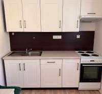 Kuchyňská linka v 1-pokojovém bytě s umyvadlem, sporákem a úložným prostorem.