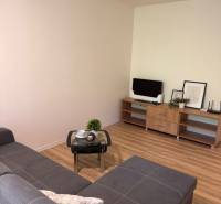 Obývací pokoj s pohovkou, konferenčním stolkem a stolkem s televizorem v garsonce.