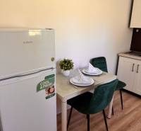 Malá kuchyně v 1-pokojovém bytě s lednicí, stolem a zelenými židlemi.