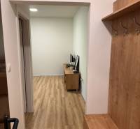 Chodba s věšákovou stěnou a vstupem do obývacího pokoje, 1-pokojový byt.