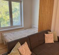 Pohodlný 1-pokojový byt s rozkládací pohovkou a postelí u okna, světlý prostor.