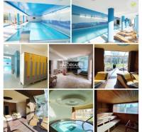 Wellness centrum s bazénem, saunou a relaxačními prostory, podlaha s dřevěným dekorem.