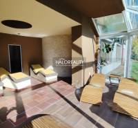 Interiér gastro prostorů s lehátky, prosklenou stěnou a podlahou s dřevěným dekorem.