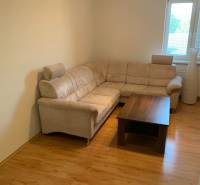 Obývací pokoj v 2pokojovém bytě s rohovou sedačkou a podlahou s dřevěným dekorem.