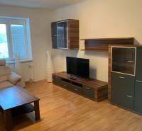 Obývací pokoj dvoupokojového bytu s podlahou s dřevěným dekorem a televizí.