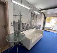 Pokoj v rodinném domě s bílou sedačkou, tapetou mostu a modrým kobercem.