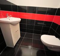 Koupelna v rodinném domě se sanitou, černo-červenými kachličkami a umyvadlem.
