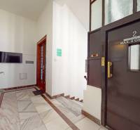 Interiér kanceláře s výtahem, schodištěm, televizorem a květinou v Bratislavě - Starém Městě.