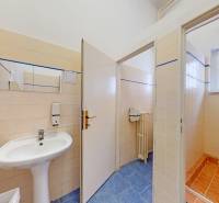 Kanceláře s umyvadlem, obklady a sprchovým koutem, podlaha s keramickým dekorem.