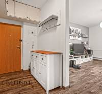 Vstupní chodba v 2-pokojovém bytě s podlahou s dřevěným dekorem a bílým nábytkem.