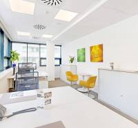 Kanceláře s bílými stoly, žlutými křesly a světlými stěnami, dekorované barevnými obrazy.