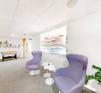 Kanceláře s pohodlnými křesly, stolkem, stojanovými rostlinami a fotbálkem.