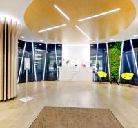 Kanceláře s dřevěným dekorem, barevnými židlemi a zelenou stěnou.