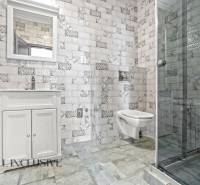 Koupelna v 2-pokojovém bytě s umyvadlem, sprchovým koutem a dekorativními obklady.