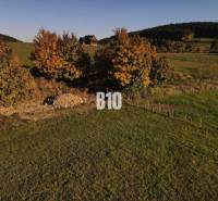 Pozemek v Petrovicích na bydlení, obklopený stromy v podzimních barvách.