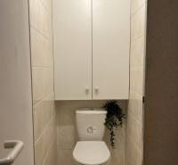 Koupelna se záchodem a skříňkou v 2-pokojovém bytě, neutrální obklad.