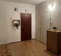 Předsíň 2-pokojového bytu s podlahou s dřevěným dekorem a dřevěnou komodou.