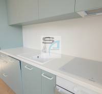 Kuchyně v 2-pokojovém bytě s dřezem, indukční varnou deskou a podlahou s dřevěným dekorem.