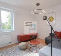 Obývací pokoj v 2pokojovém bytě s podlahou s dřevěným dekorem a pohovkou.