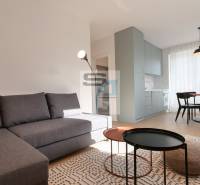 Obývací pokoj v 2-pokojovém bytě s pohovkou, jídelním stolem a podlahou s dřevěným dekorem.