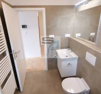 Koupelna v 2-pokojovém bytě s toaletou, umyvadlem a zrcadlem.