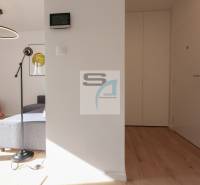 Interiér 2-pokojového bytu s podlahou s dřevěným dekorem, kruhovým lustrem a šedou pohovkou.