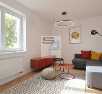 Obývací pokoj v dvoupokojovém bytě, sezení, barevné polštáře, konferenční stolky, koberec.