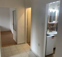 Chodba v 2-pokojovém bytě s výhledem na koupelnu a pokoj s podlahou s dřevěným dekorem.