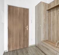 Vstupní hala s úložným prostorem a podlahou s dřevěným dekorem v 2pokojovém bytě.